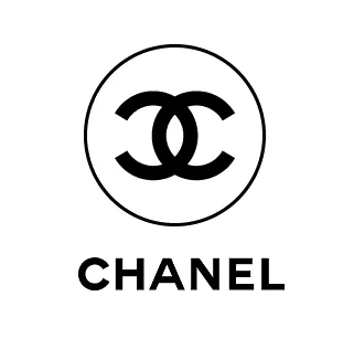 CHANEL CC METALLIC CAMBON LEATHER BALLET FLATS